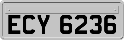 ECY6236