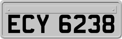 ECY6238