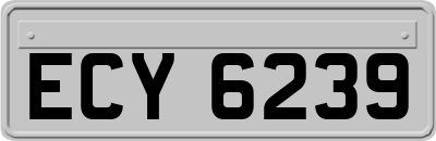 ECY6239