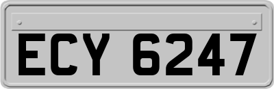 ECY6247