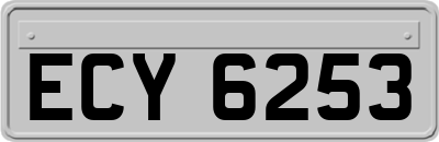 ECY6253
