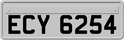 ECY6254