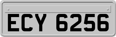 ECY6256