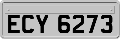 ECY6273
