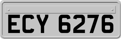 ECY6276
