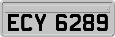 ECY6289