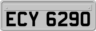 ECY6290