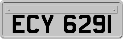 ECY6291