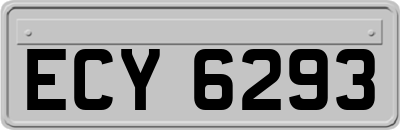 ECY6293