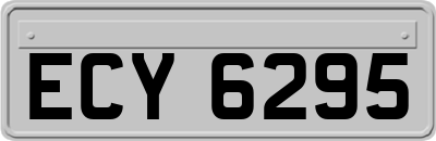 ECY6295