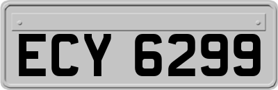 ECY6299