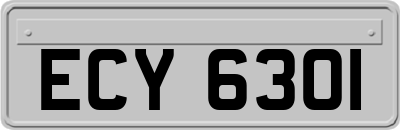 ECY6301