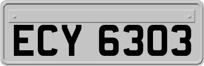 ECY6303