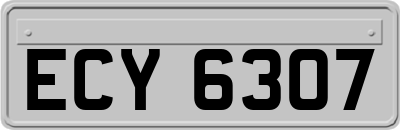 ECY6307