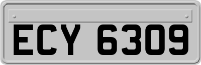 ECY6309