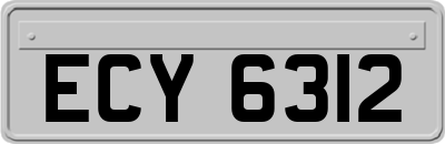 ECY6312