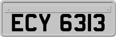 ECY6313