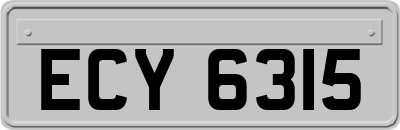 ECY6315