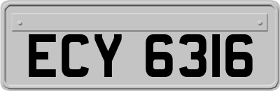 ECY6316