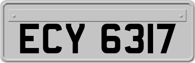 ECY6317