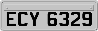 ECY6329