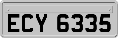 ECY6335