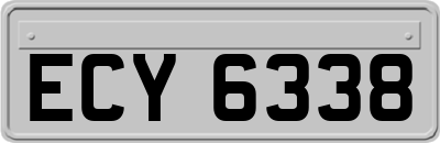 ECY6338