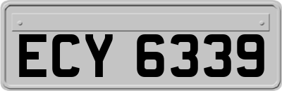 ECY6339