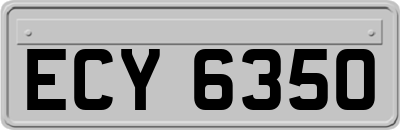 ECY6350