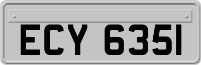 ECY6351