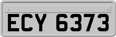 ECY6373