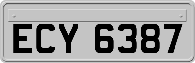 ECY6387