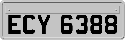 ECY6388