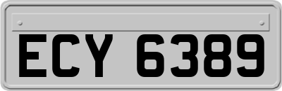 ECY6389