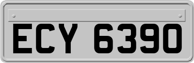 ECY6390
