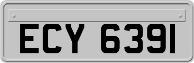 ECY6391