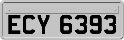 ECY6393