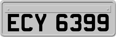 ECY6399