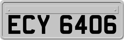 ECY6406