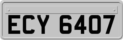 ECY6407