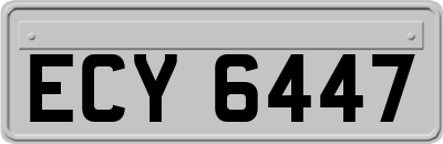 ECY6447