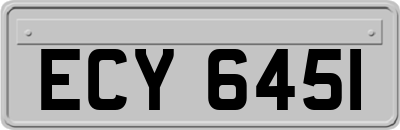 ECY6451