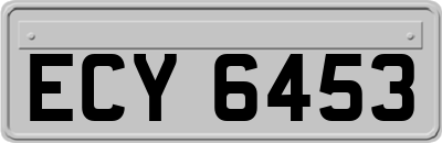 ECY6453