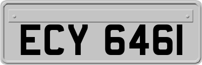 ECY6461