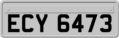 ECY6473