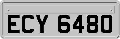 ECY6480