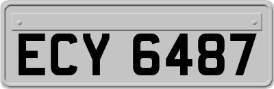 ECY6487