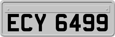 ECY6499