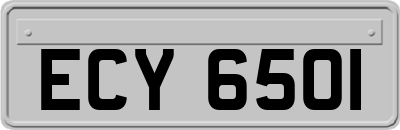 ECY6501
