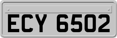 ECY6502